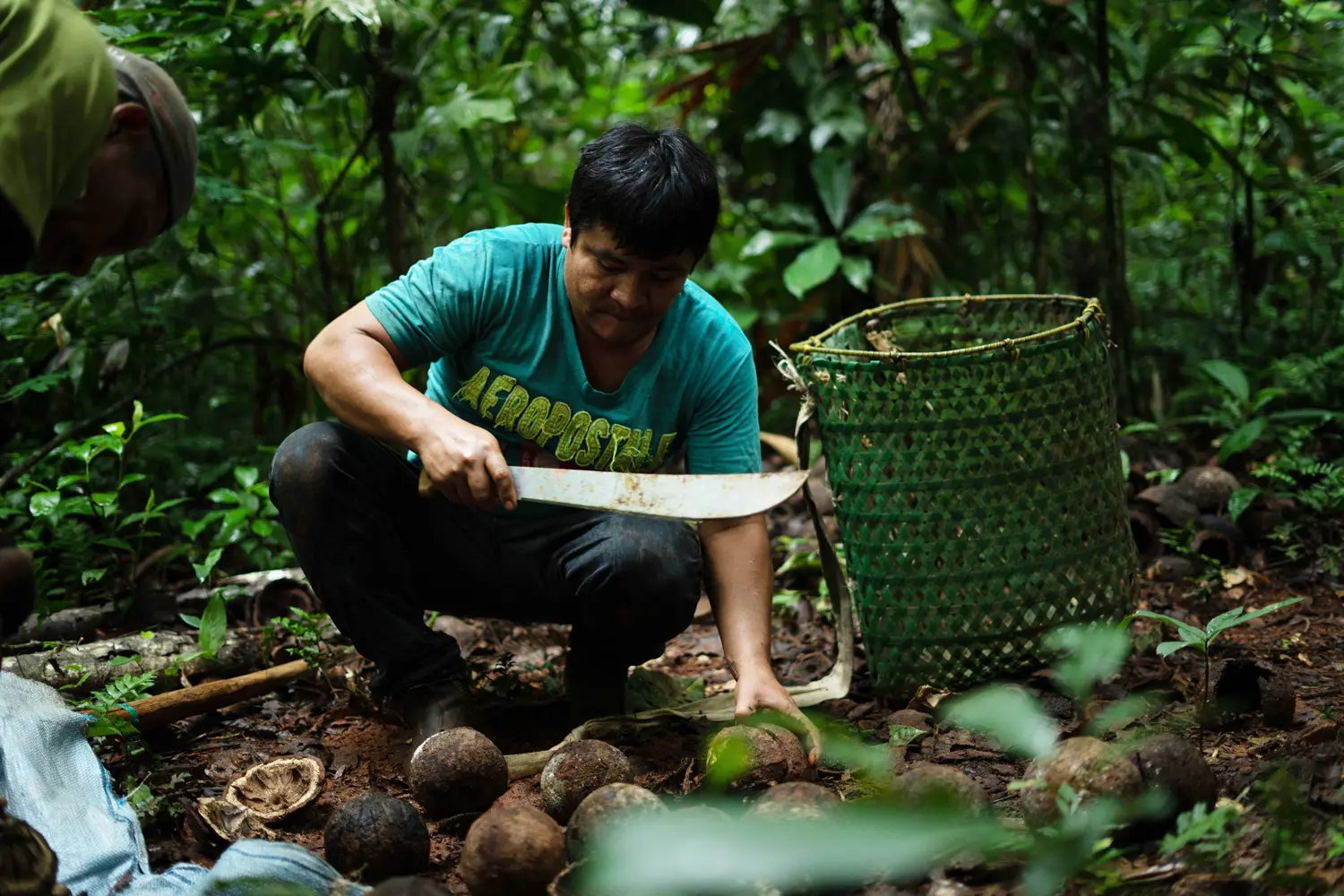 Paranusssammler im bolivianischen Amazonas