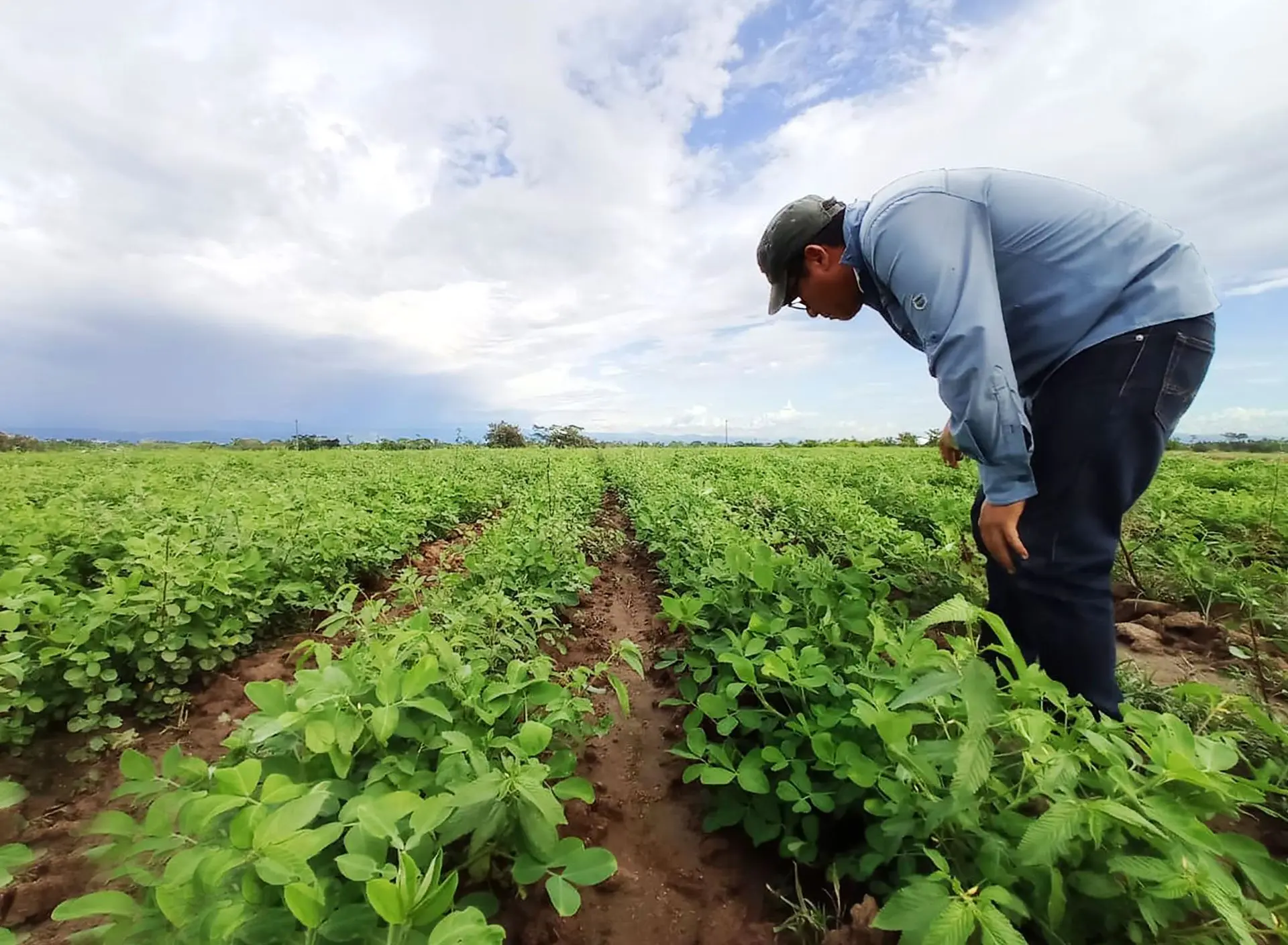 Erdnussproduzent Giovanni Porras