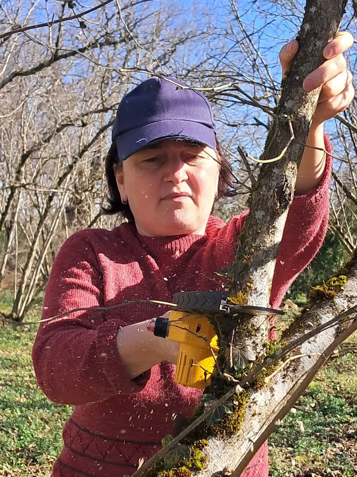 Haselnussbäuerin Lela Gamisonia, Mitglied des Bio-Haselnussverbands CaucasNut, Georgien.