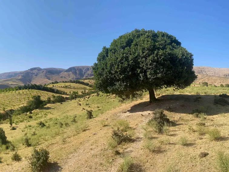 Landschaft Usbekistan