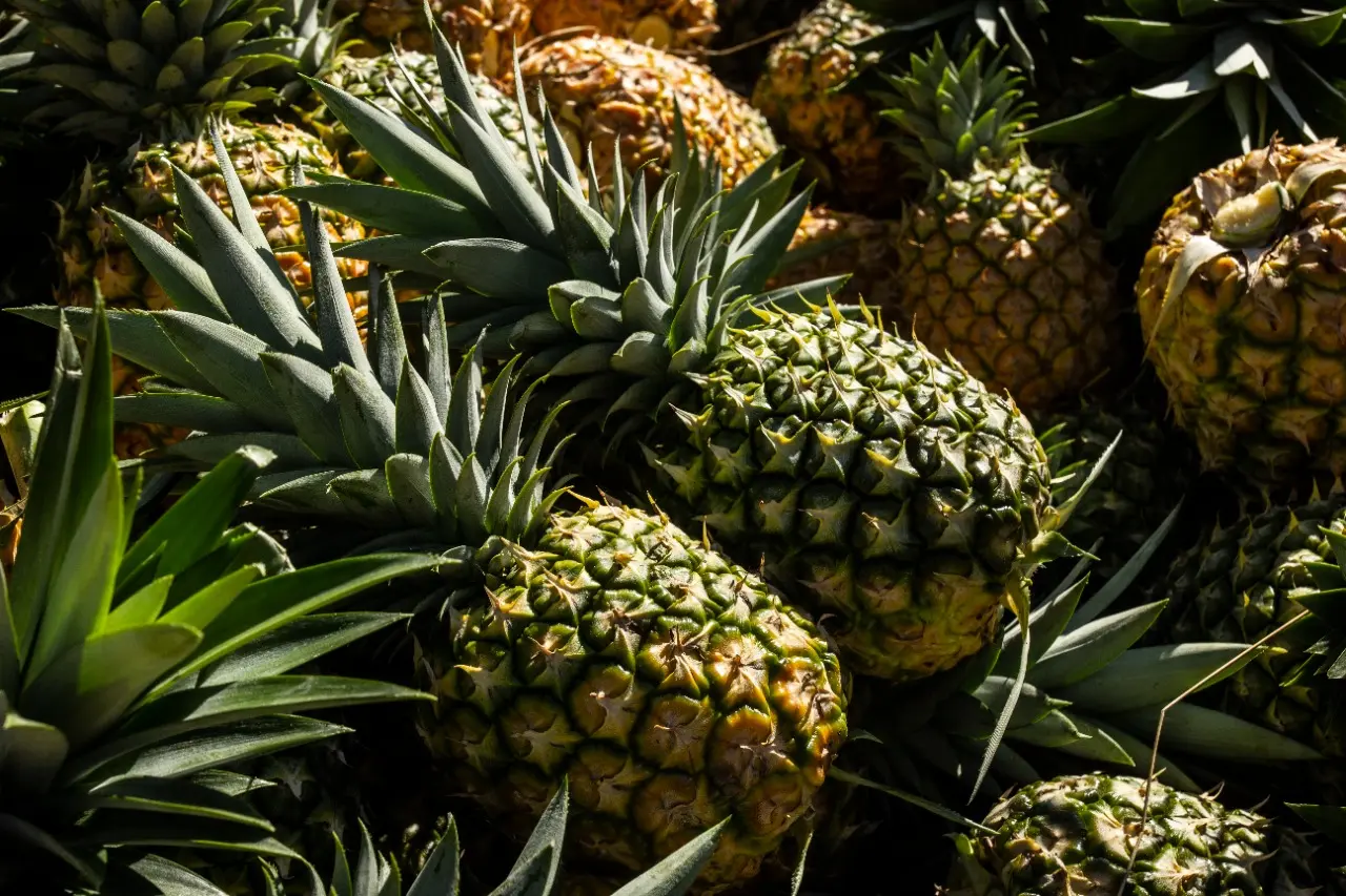 Reife Ananas
