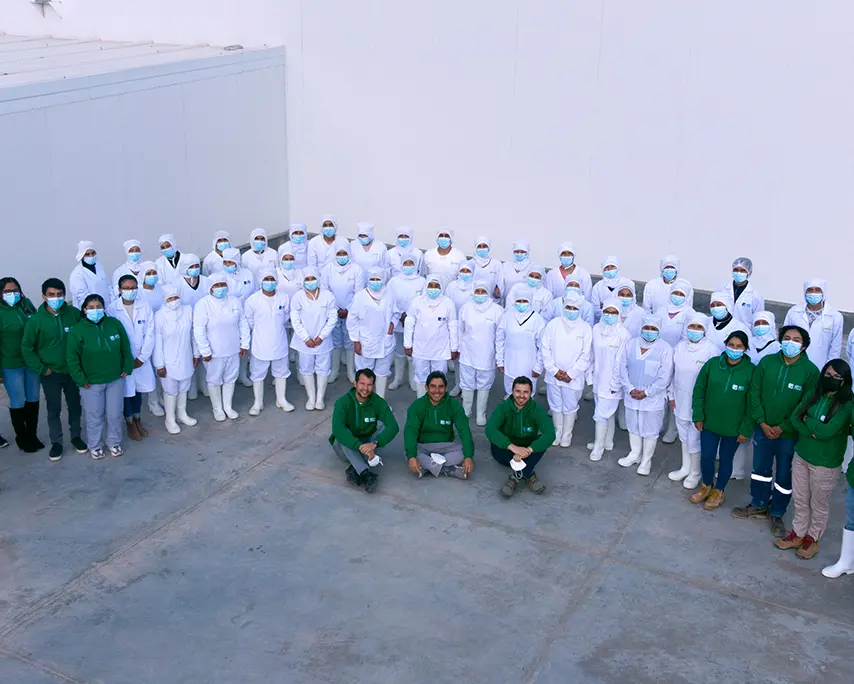 Greenbox team