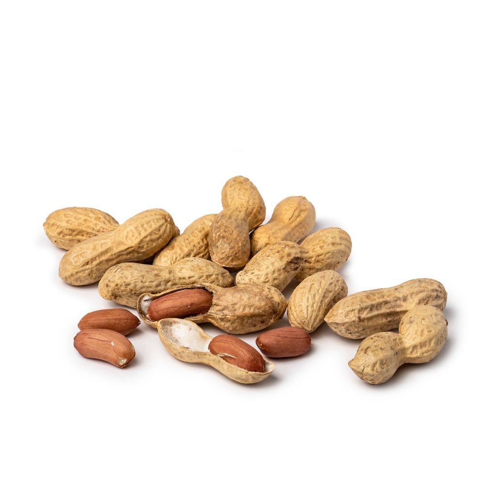 Erdnüsse in der Schale Bio Fairtrade